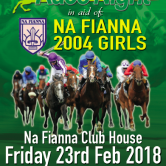 Na Fianna GAA Club 2004