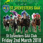 St. Sylvesters GAA Club