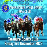 Templeogue Synge Street GAA