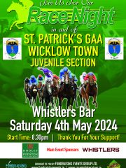 St. Patrick’s GAA, Wicklow