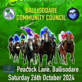 Ballisodare Community Council