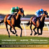 DUBLIN ROUND TABLE CHARITY RACE NIGHT in aid of A Little Lifetime