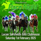 Lucan Sarsfields Seniors