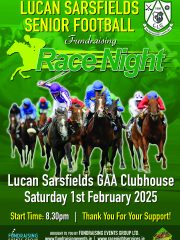 Lucan Sarsfields Seniors