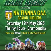 NA FIANNA GAA SENIOR HURLERS