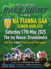 NA FIANNA GAA SENIOR HURLERS